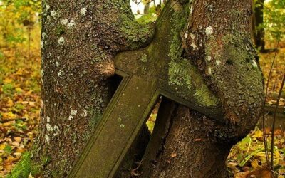 ZAPALCIE  ŚWIATEŁKO  MAZUROM !!!!